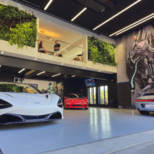 Professional Expertise